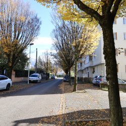 photo_84d1cc4ddff74714f63cc46c11064b1a