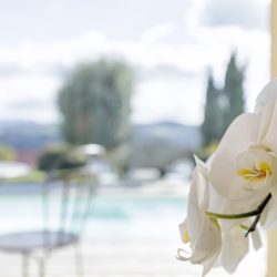 photo_9d9ef811509b155e7511e89f8ecdf346