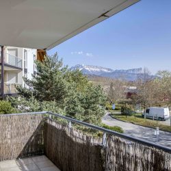 photo_d4f8477f5a1f15425ff20fa9aa912f28